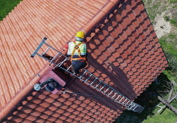 Best Green or Eco-Friendly Roofing Solutions  in Rlsbad, CA
